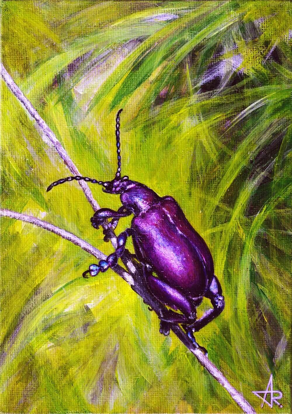 Frog-legged beetle (Sagra buqueti). 2022. Canvas on cardboard, acrylic, 18x13 cm