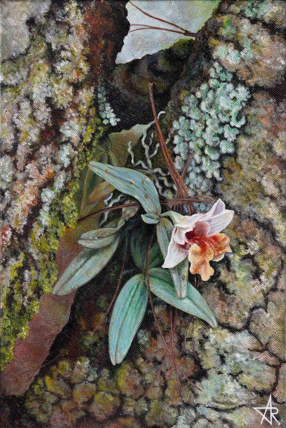 Pine forest orchid (Dendrobium bellatulum). 2023. Canvas, acrylic, 30x20 cm