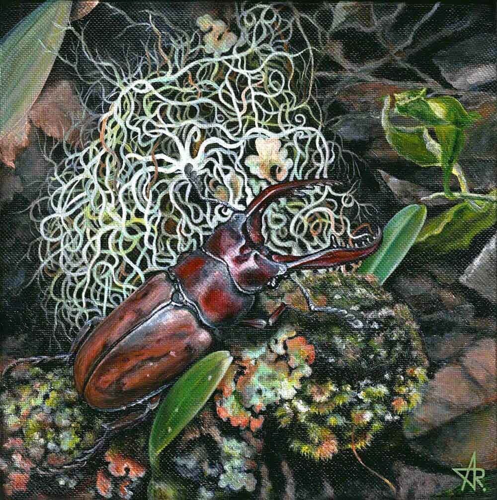 Stag beetle (Prosopocoilus astacoides). 2023. Canvas, acrylic, 20x20 cm