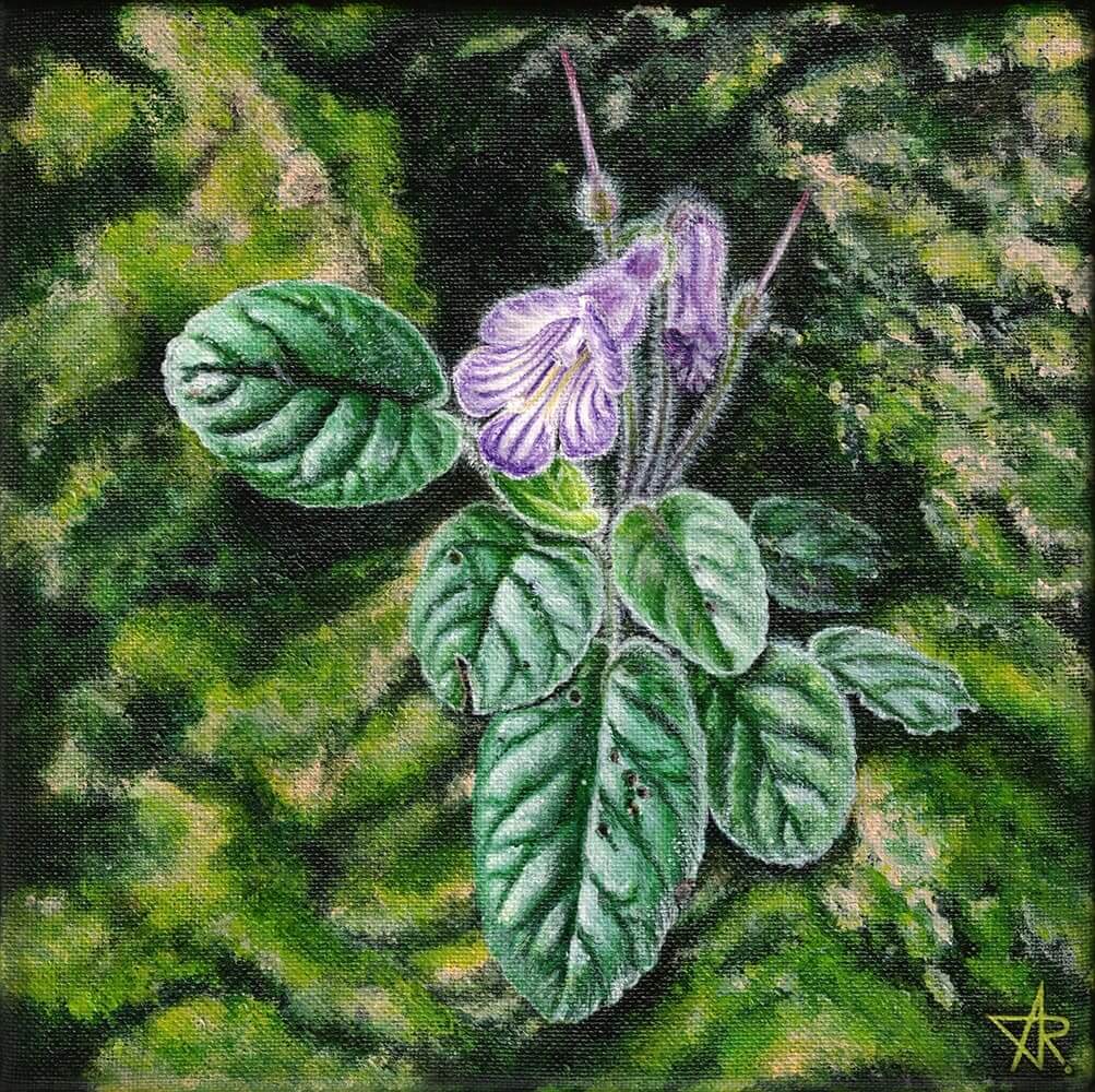 Langbiangia annamensis. 2022. Canvas, acrylic, 20x20 cm