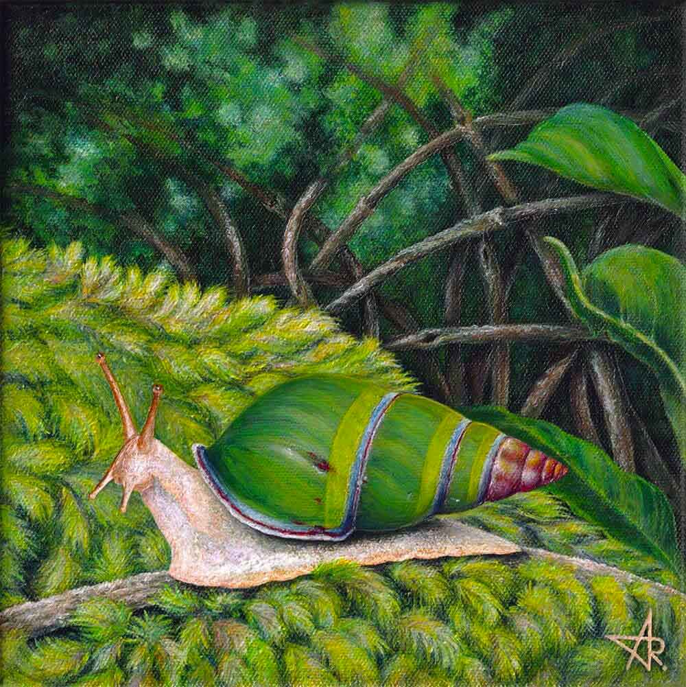 Green tree snail (Amphidromus sp.). 2023. Canvas, acrylic, 20x20 cm
