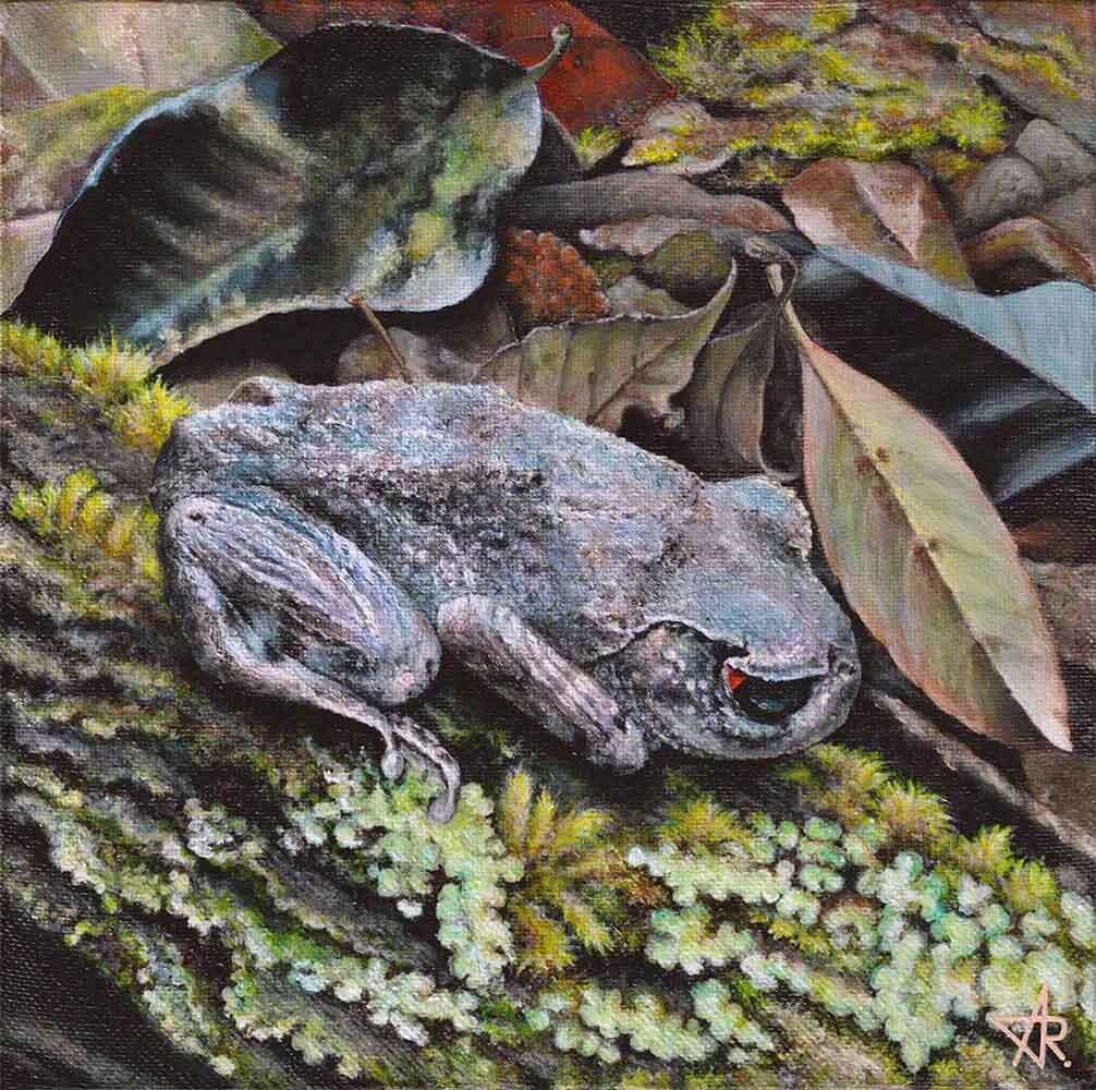 Shy frog (Leptobrachium pullum). 2023. Canvas, acrylic, 20x20 cm