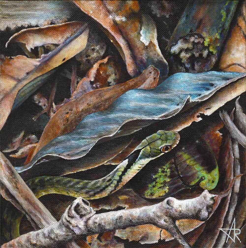Large-eyed bamboo snake (Pseudoxenodon macrops). 2023. Canvas, acrylic, 20x20 cm