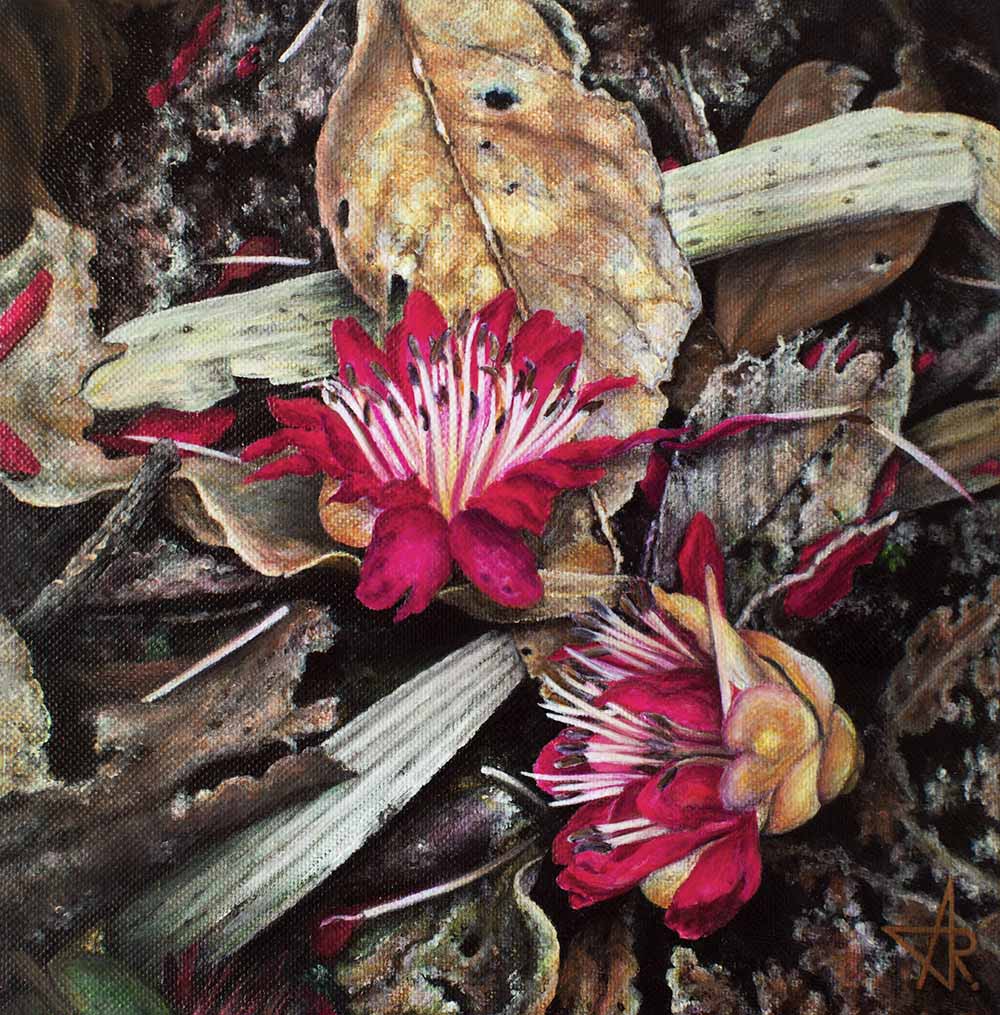 Fallen flowers (Rhodoleia championii). 2024. Canvas, acrylic, 20x20 cm