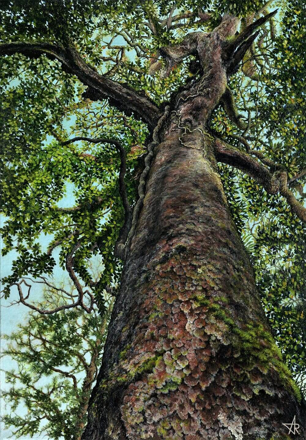 Guardian (Pinus krempfii). 2024. Canvas, acrylic, 50x35 cm