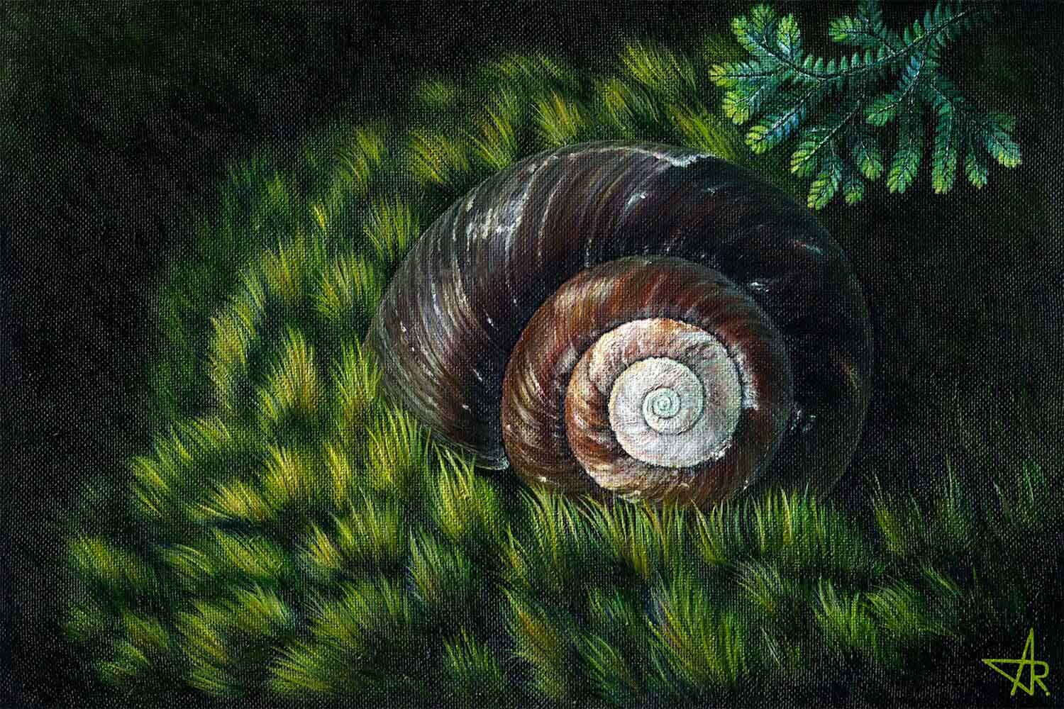 The shell of a giant snail (Bertia setzeri). 2022. Canvas, acrylic, 20x30 cm