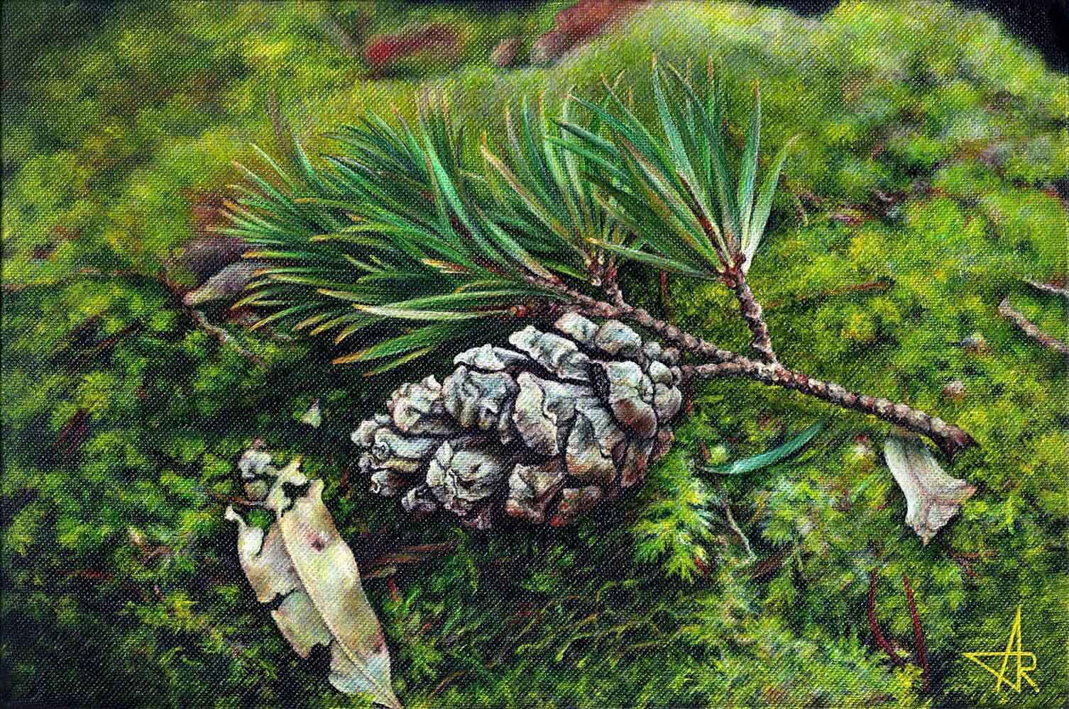 Fallen branch (Pinus krempfii). 2024. Canvas, acrylic, 20x30 cm