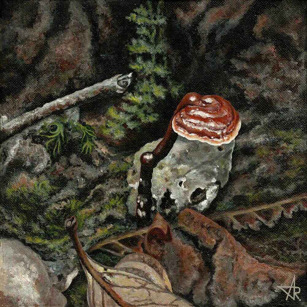 Lingzhi (Ganoderma lingzhi). 2022. Canvas, acrylic, 20x20 cm