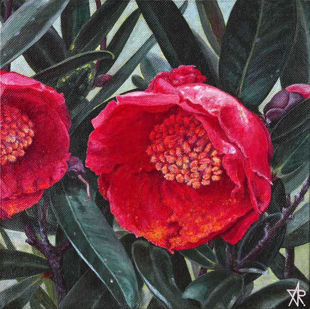 Polyspora huongiana. 2022. Canvas, acrylic, 20x20 cm